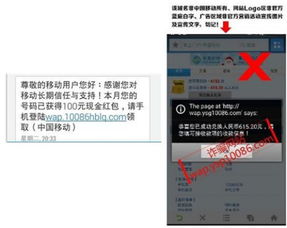 《Q2移動安全報告深度解讀 支付安全問題高居榜首，網(wǎng)絡安全軟件開發(fā)迎來新挑戰(zhàn)與機遇》